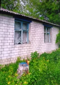 Здание 41,4 кв.м и з/у 200 кв.м, в Курской области, Советский район, Александровский сельсовет, с. Грязное, д. 250А